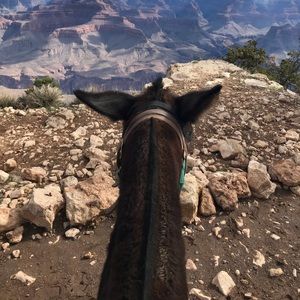 Meet your Posher, Dee